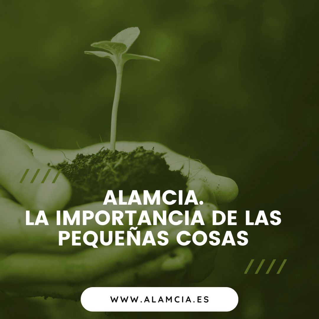 Alamcia